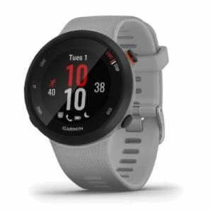 Smartwatch GARMIN Forerunner 45 Plus Grijs 1,04"