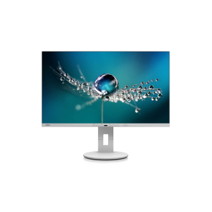 Fujitsu B2711 TE QHD computer monitor 68,6 cm (27") 2560 x 1440 Pixels Quad HD LED Grijs