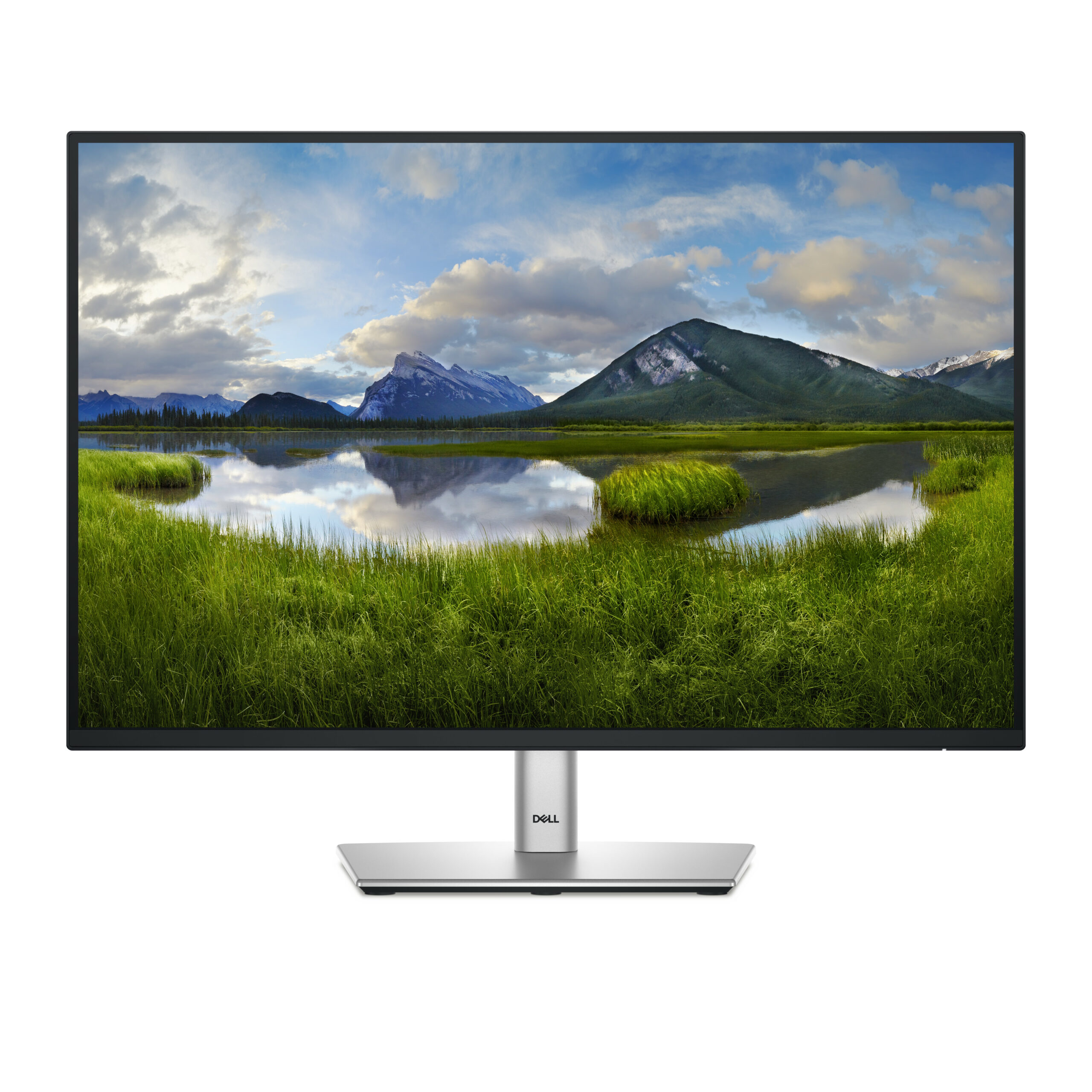 P2425E - 24 inch - WUXGA IPS LED Monitor - 1920x1200 - Pivot / HAS / RJ45 / USB-C