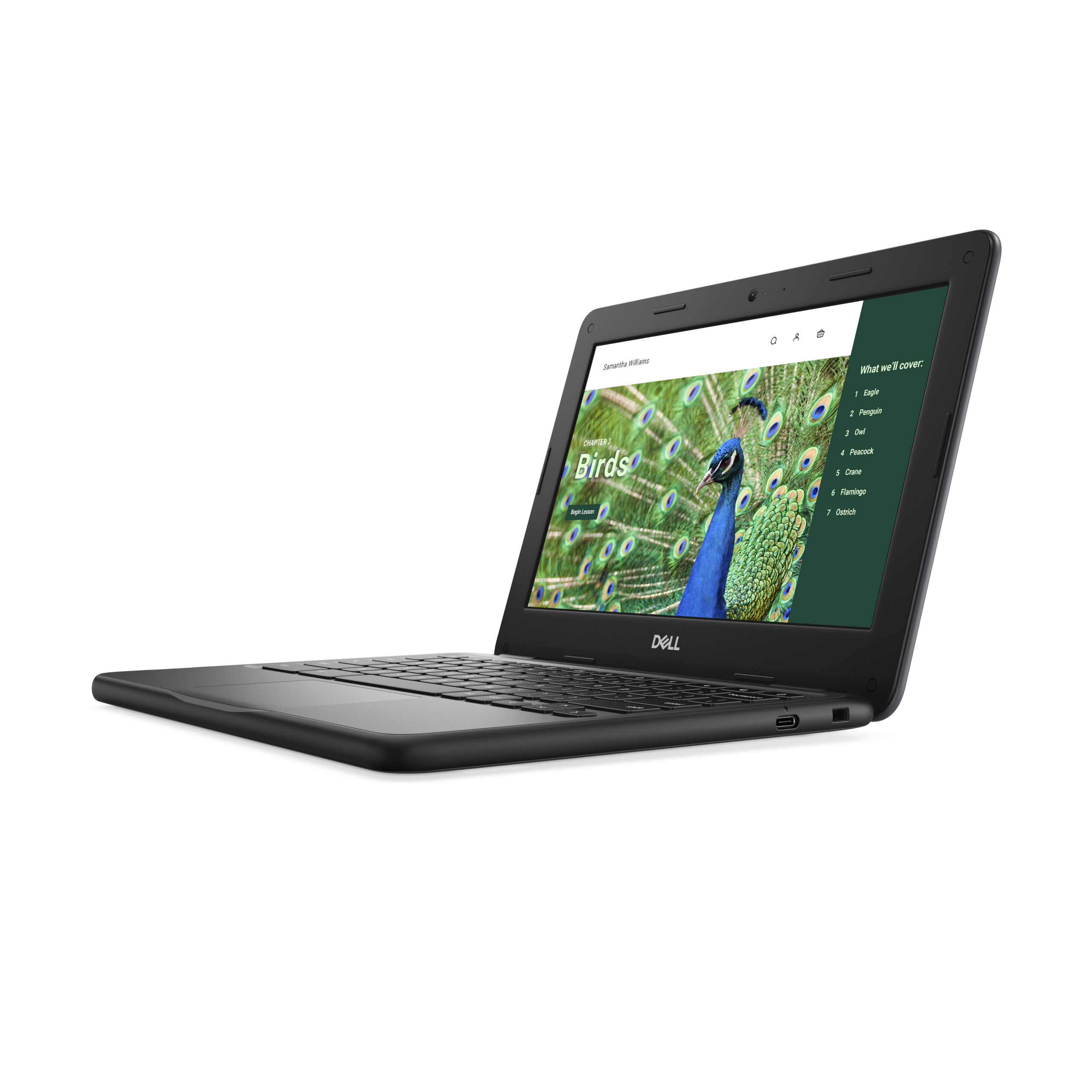 DELL Chromebook 3120 Intel® N N100 29,5 cm (11.6") HD 4 GB LPDDR5-SDRAM 64 GB eMMC Wi-Fi 6 (802.11ax) ChromeOS Zwart - Afbeelding 3