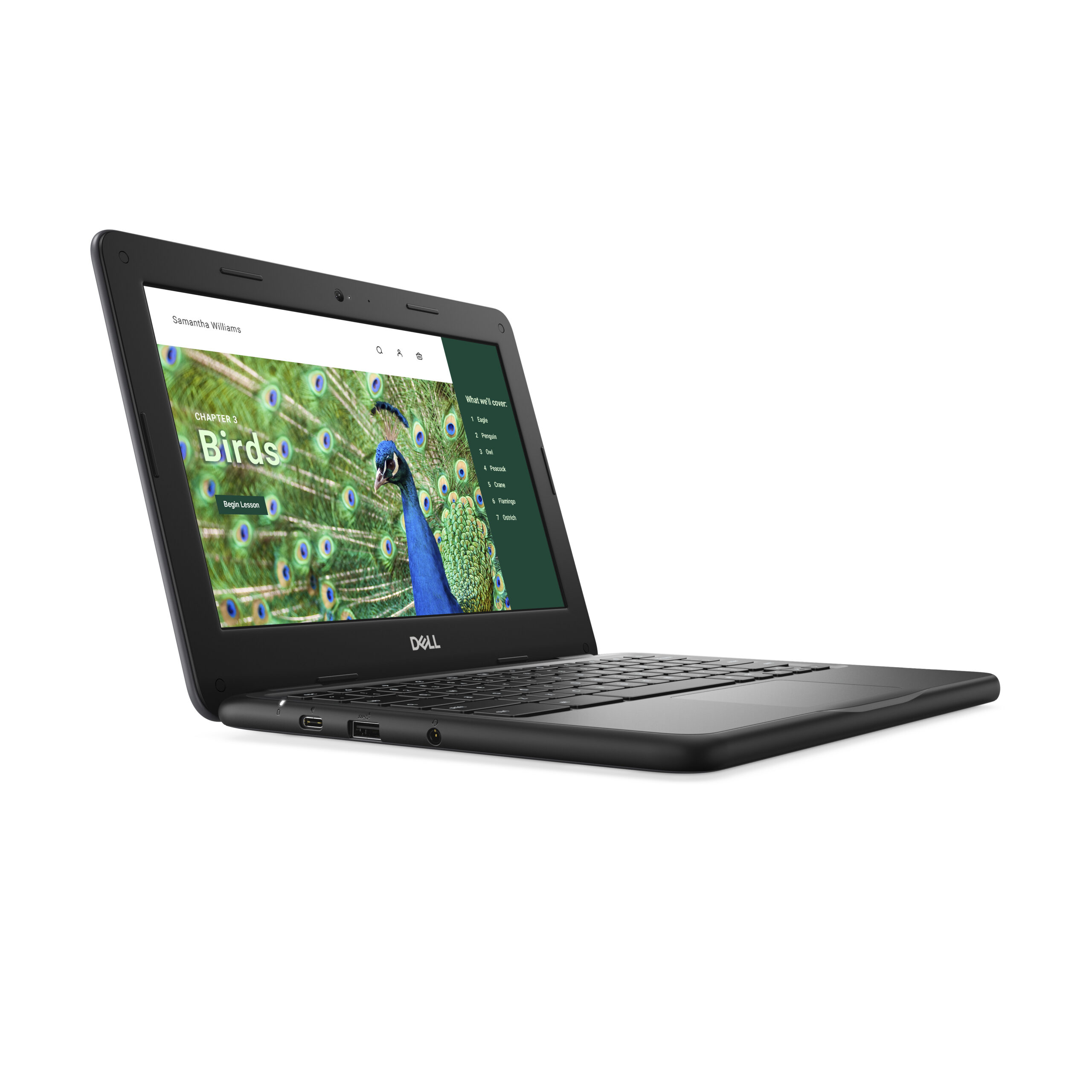 DELL Chromebook 3120 Intel® N N100 29,5 cm (11.6") HD 4 GB LPDDR5-SDRAM 64 GB eMMC Wi-Fi 6 (802.11ax) ChromeOS Zwart - Afbeelding 4