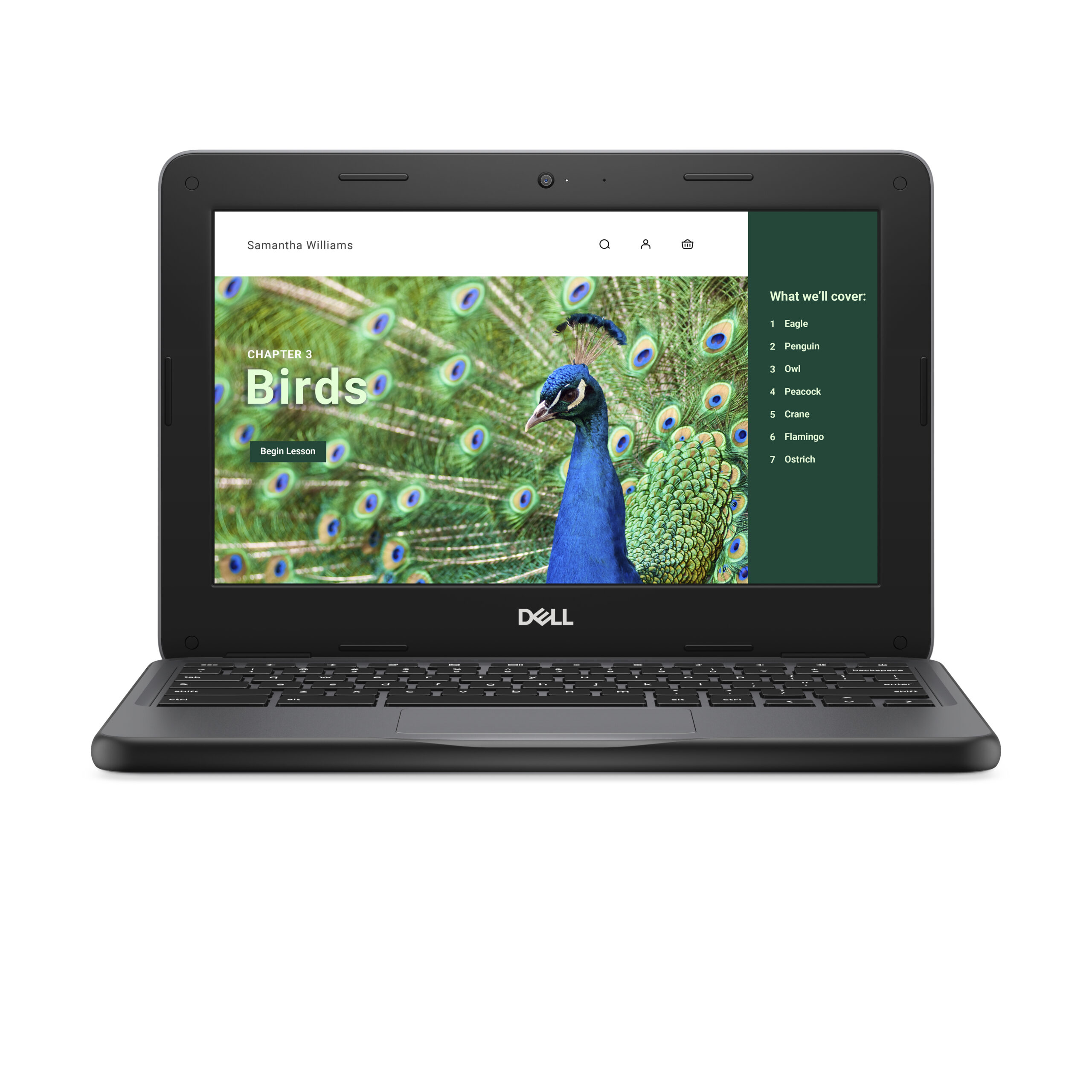 DELL Chromebook 3120 Intel® N N100 29,5 cm (11.6") HD 4 GB LPDDR5-SDRAM 64 GB eMMC Wi-Fi 6 (802.11ax) ChromeOS Zwart