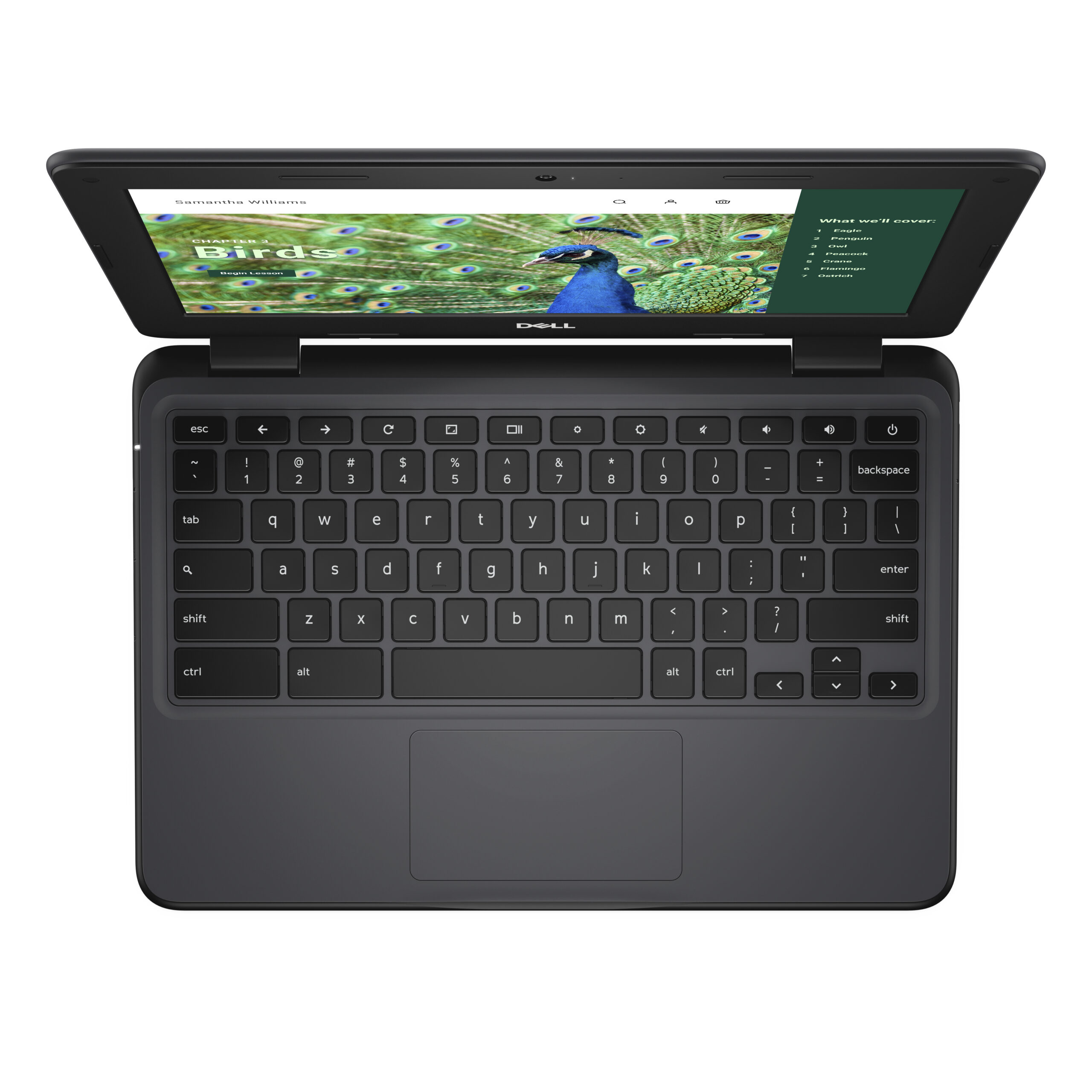 DELL Chromebook 3120 Intel® N N100 29,5 cm (11.6") HD 4 GB LPDDR5-SDRAM 64 GB eMMC Wi-Fi 6 (802.11ax) ChromeOS Zwart - Afbeelding 5