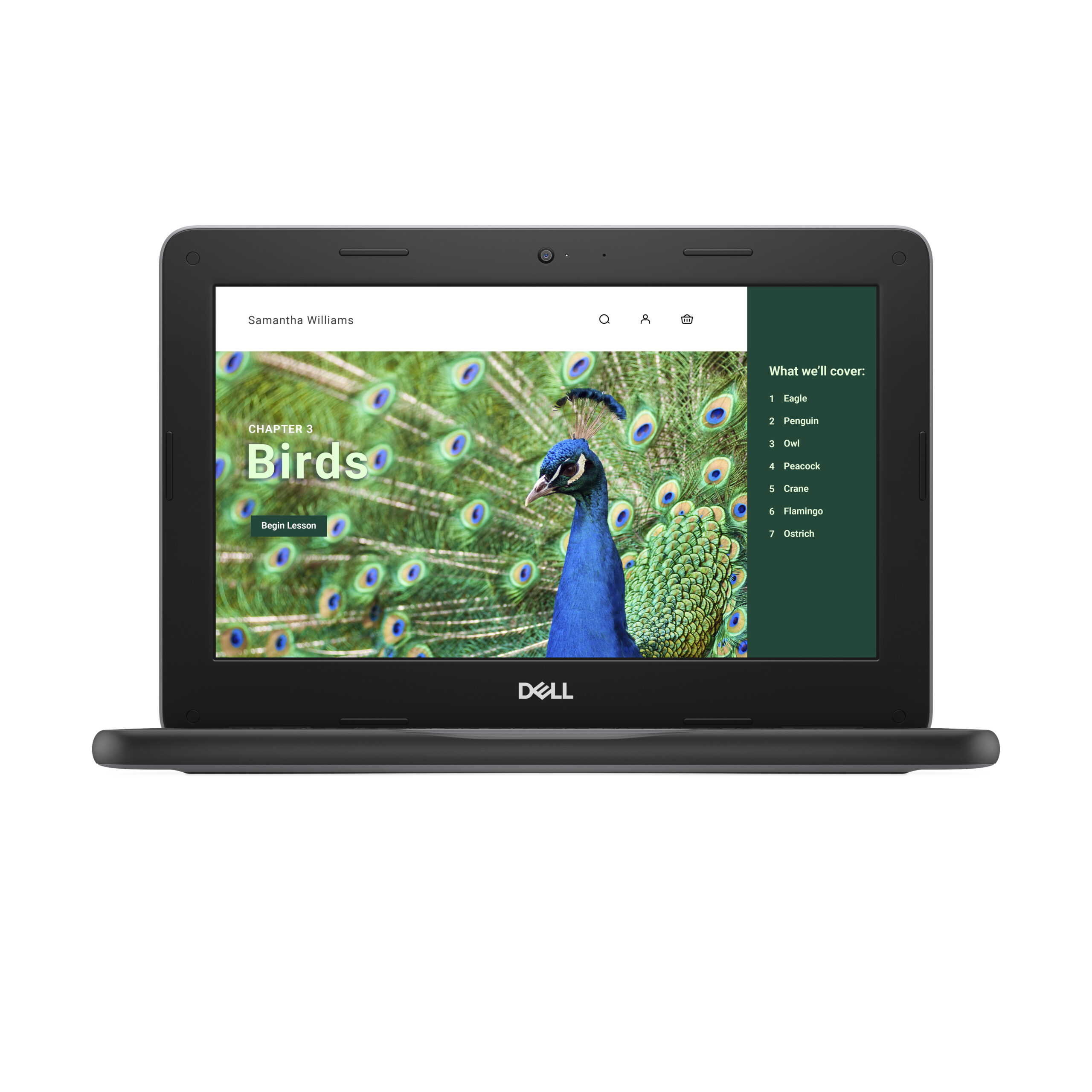 DELL Chromebook 3120 Intel® N N100 29,5 cm (11.6") HD 4 GB LPDDR5-SDRAM 64 GB eMMC Wi-Fi 6 (802.11ax) ChromeOS Zwart - Afbeelding 2