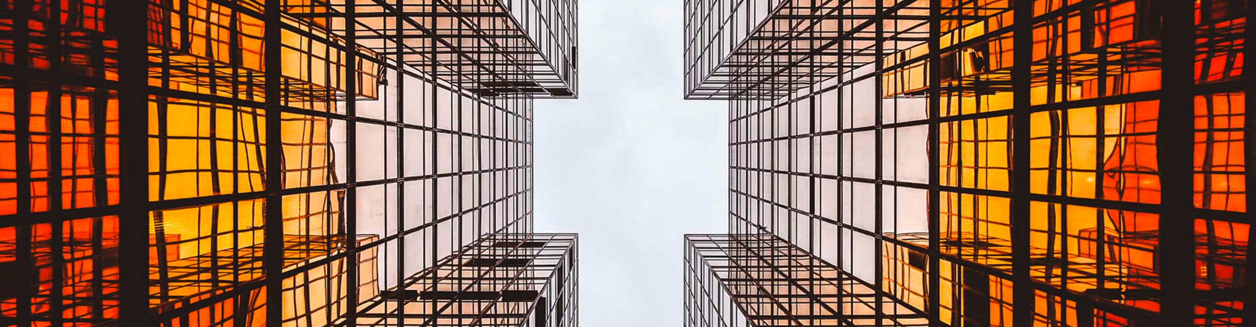 AOC P1 24P1/GR LED display 60,5 cm (23.8") 1920 x 1080 Pixels Full HD Grijs - Afbeelding 2