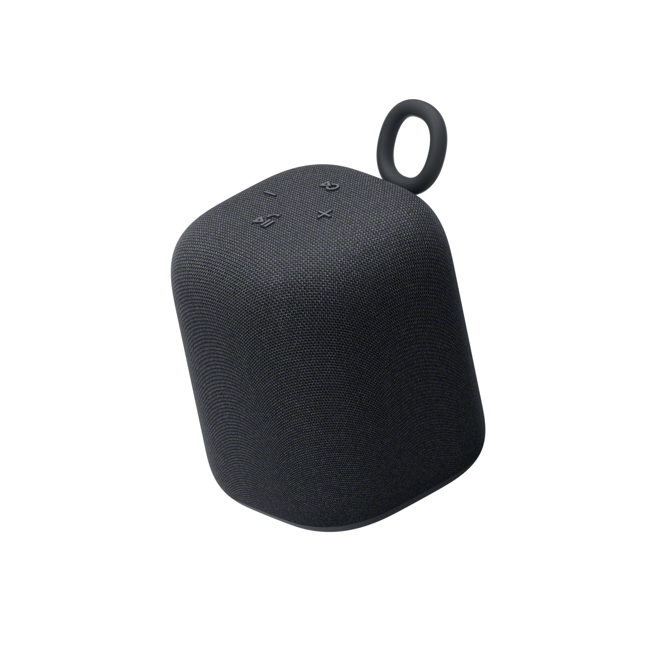 Sony SRSLS1B docking luidspreker 1.0 kanalen 0,3 W Zwart